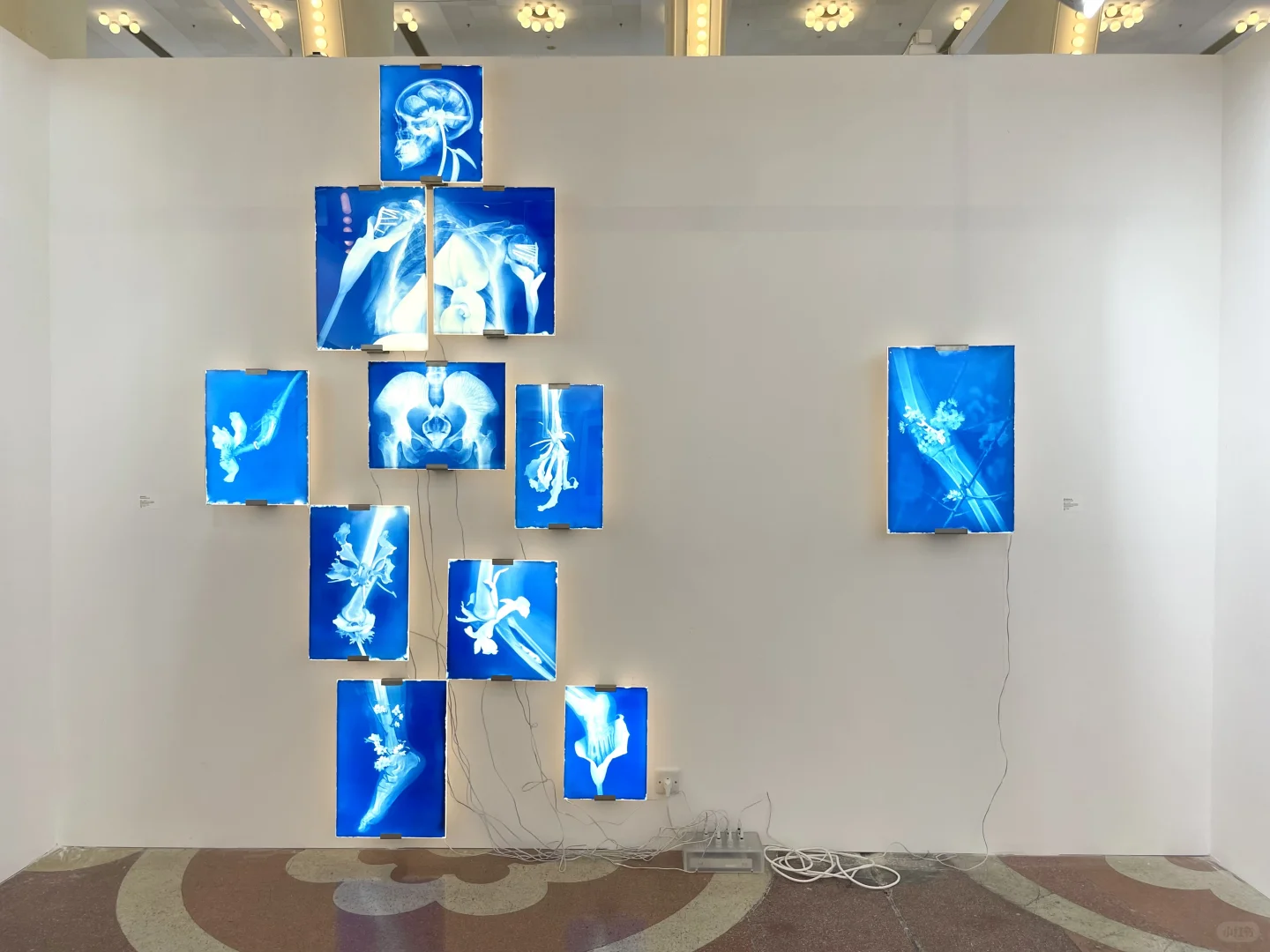 艺博会现场｜2025影像上海艺术博览会