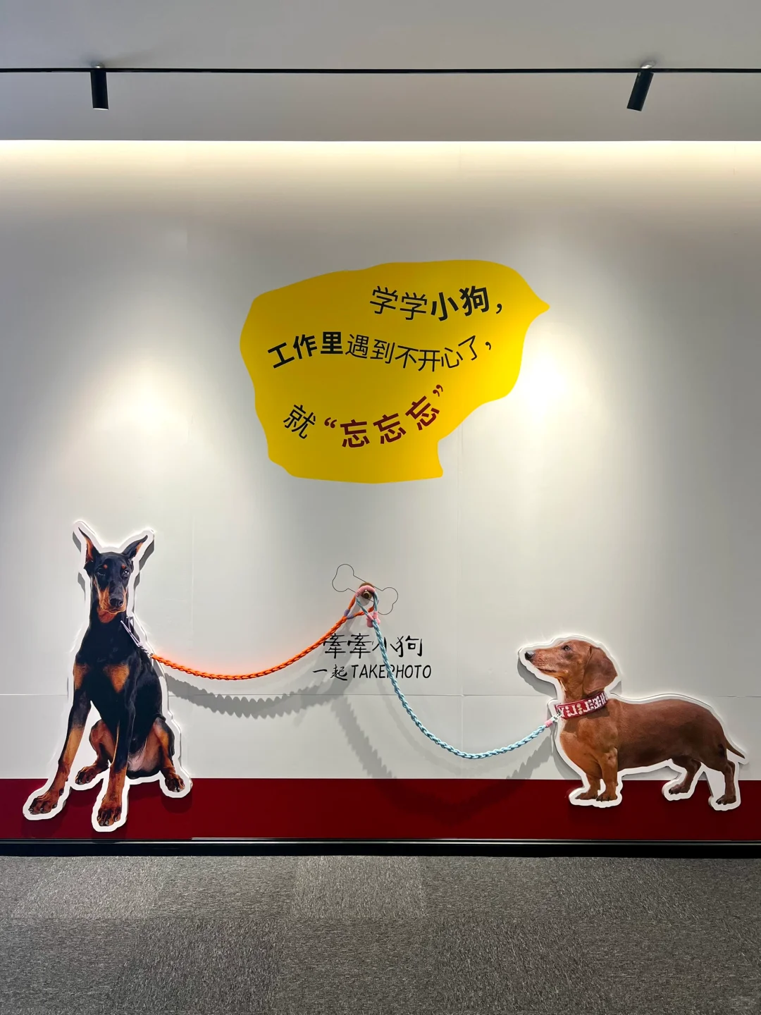 深圳免费新展?多巴胺超治愈✨ 还有小王子?