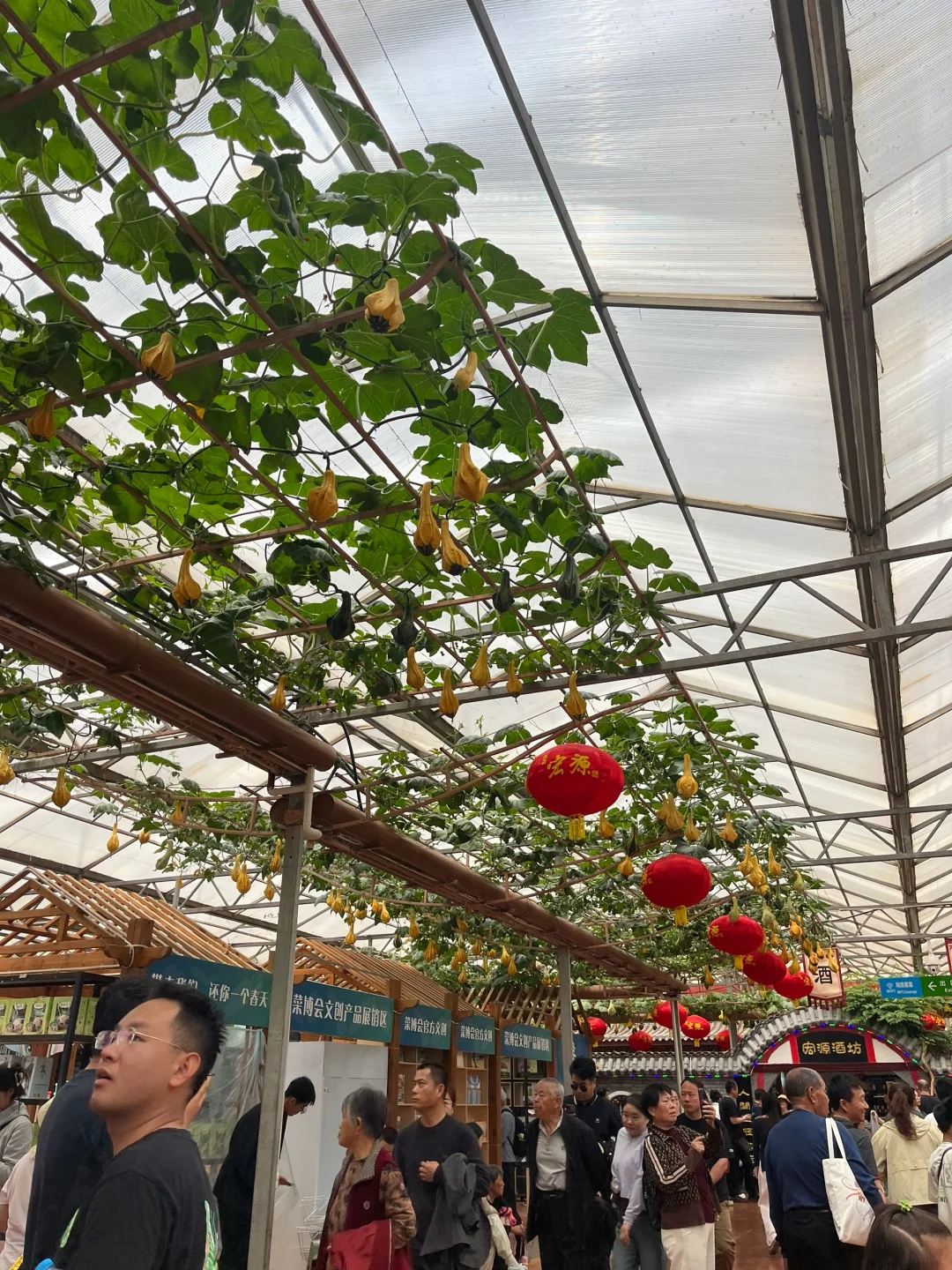 5.1期间的寿光蔬菜博览会