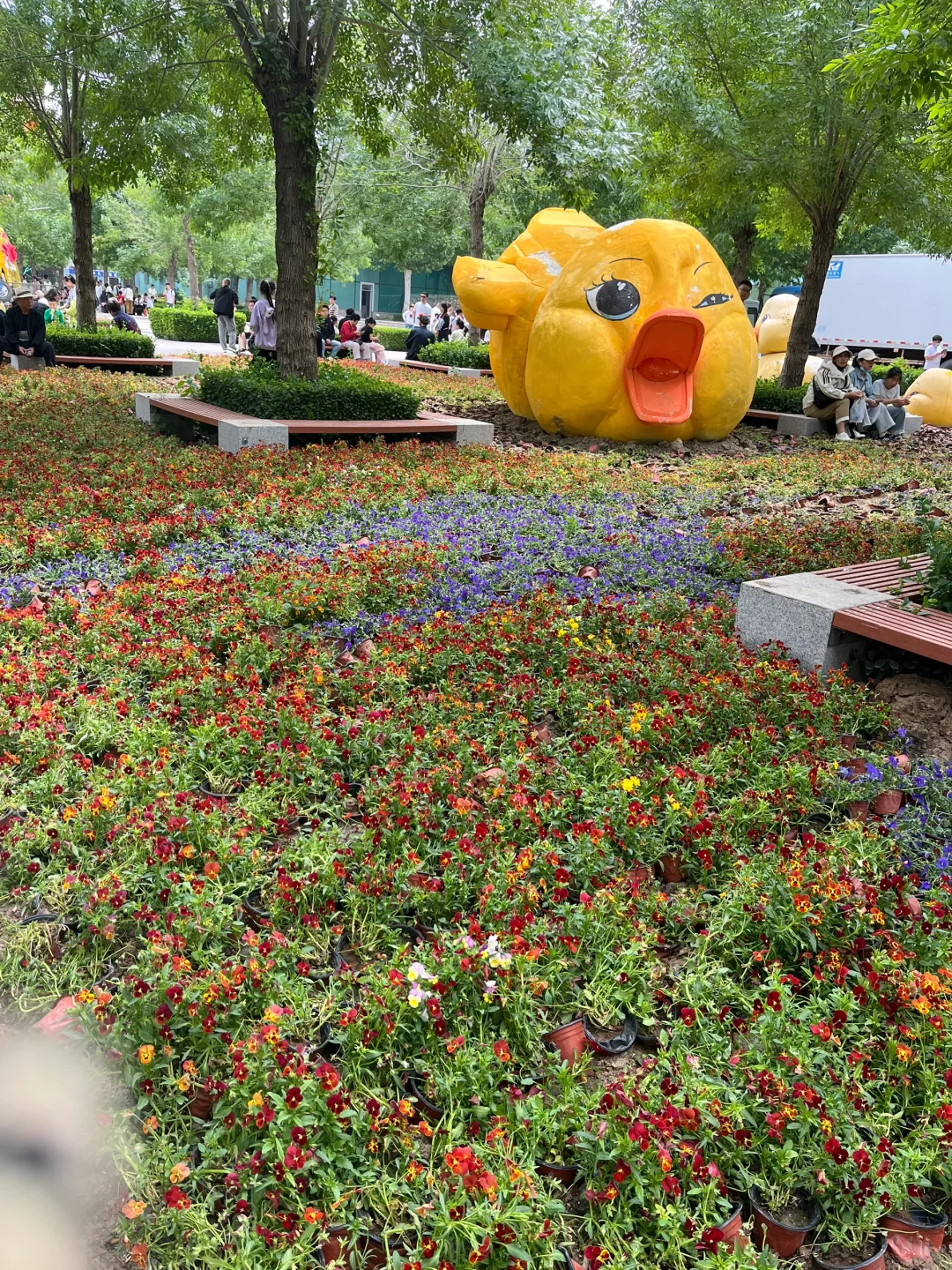 5.1期间的寿光蔬菜博览会