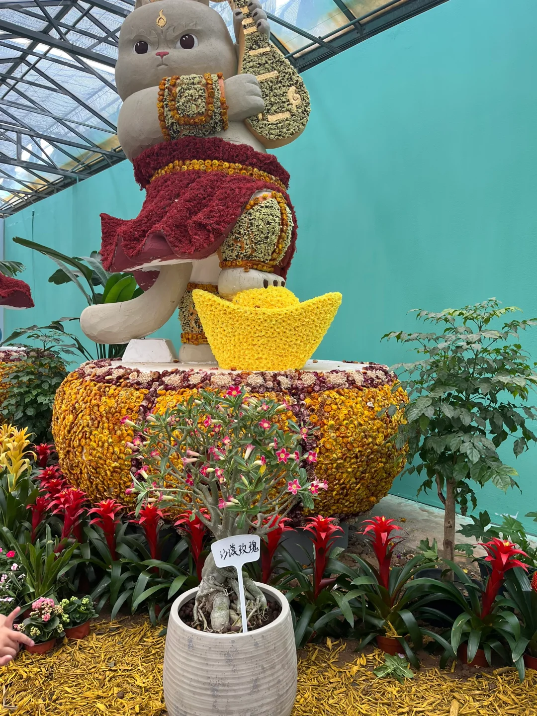5.1期间的寿光蔬菜博览会