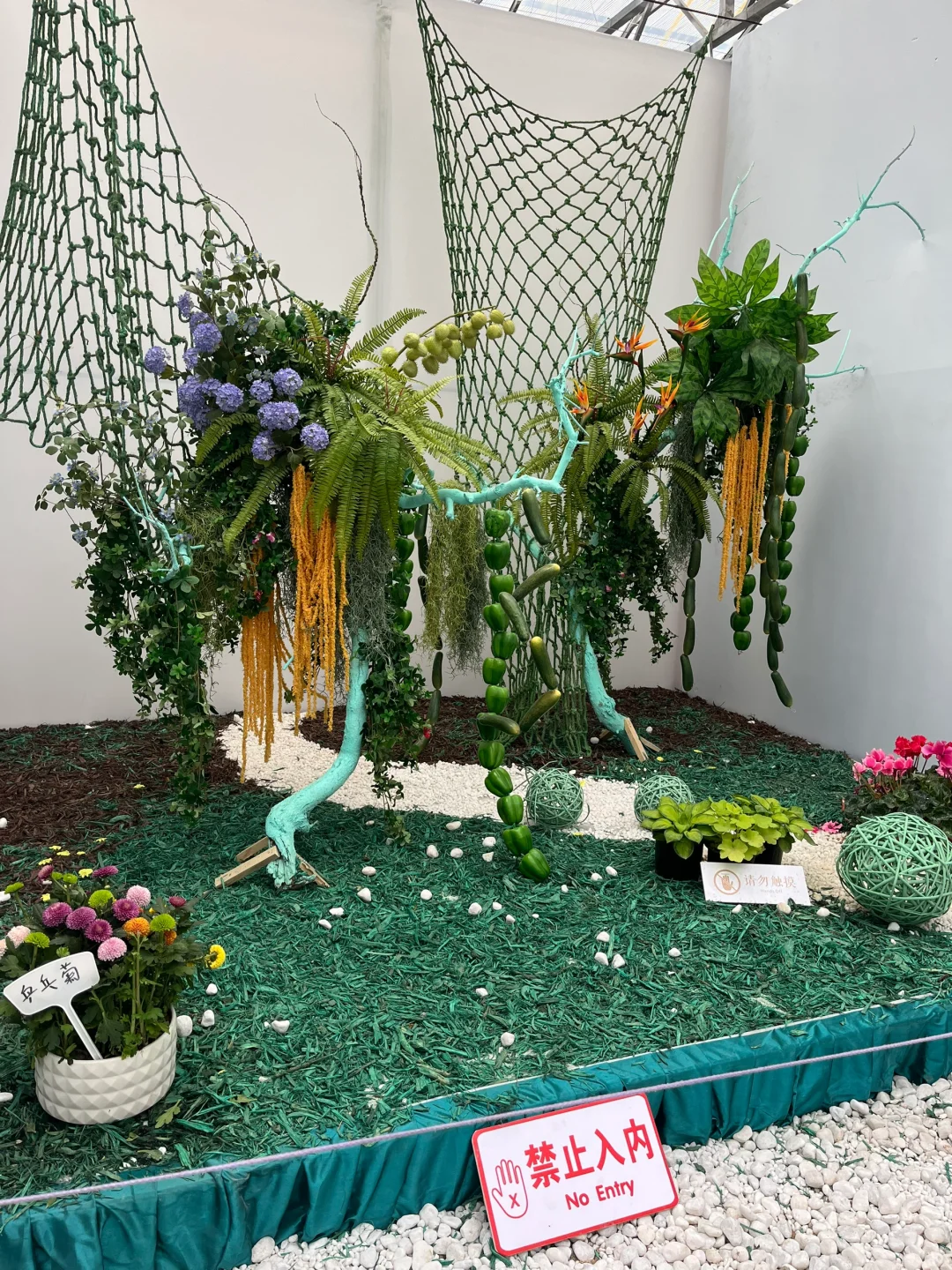 5.1期间的寿光蔬菜博览会