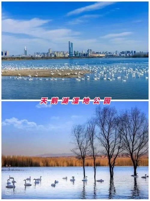 2025中部（三门峡）特色商品博览会