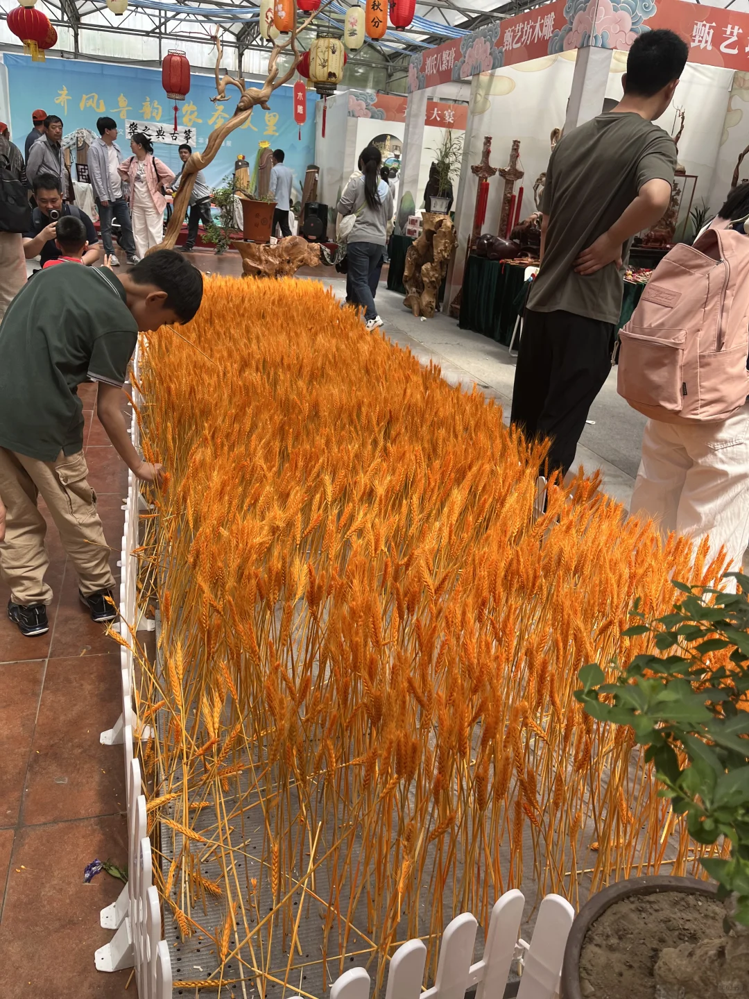 5.1期间的寿光蔬菜博览会