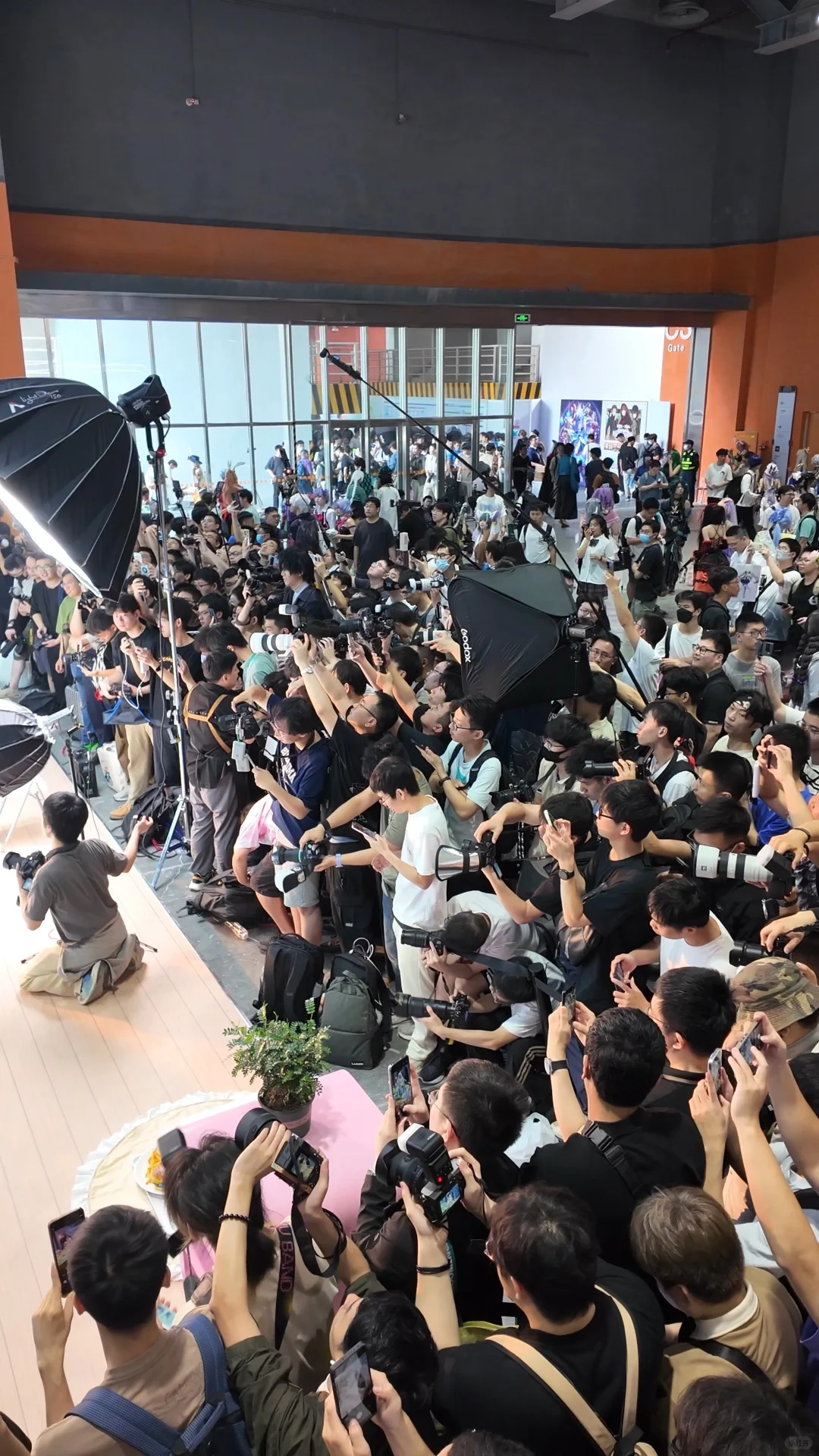 萤火虫漫展:一场令人失望的二次元之约