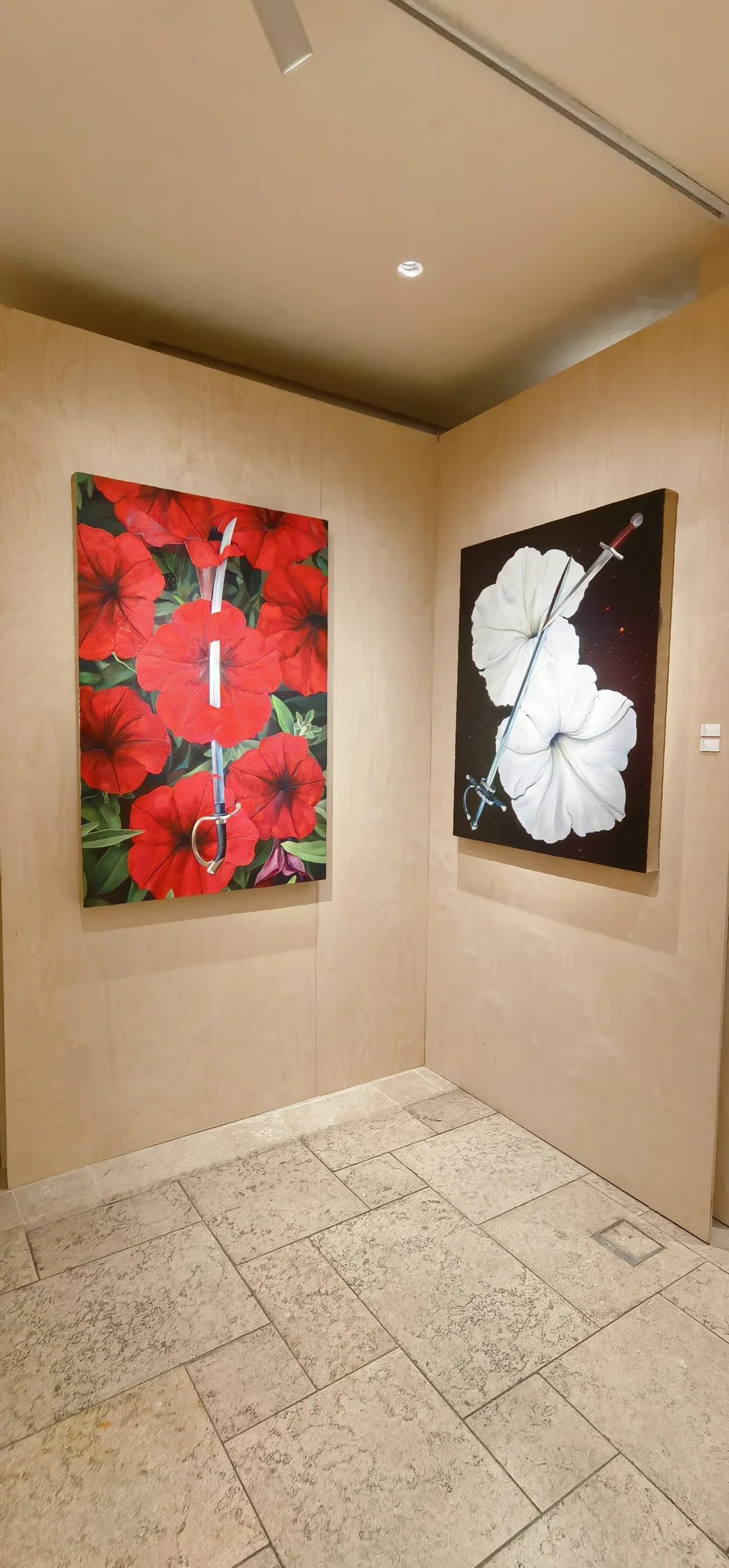 精彩展览