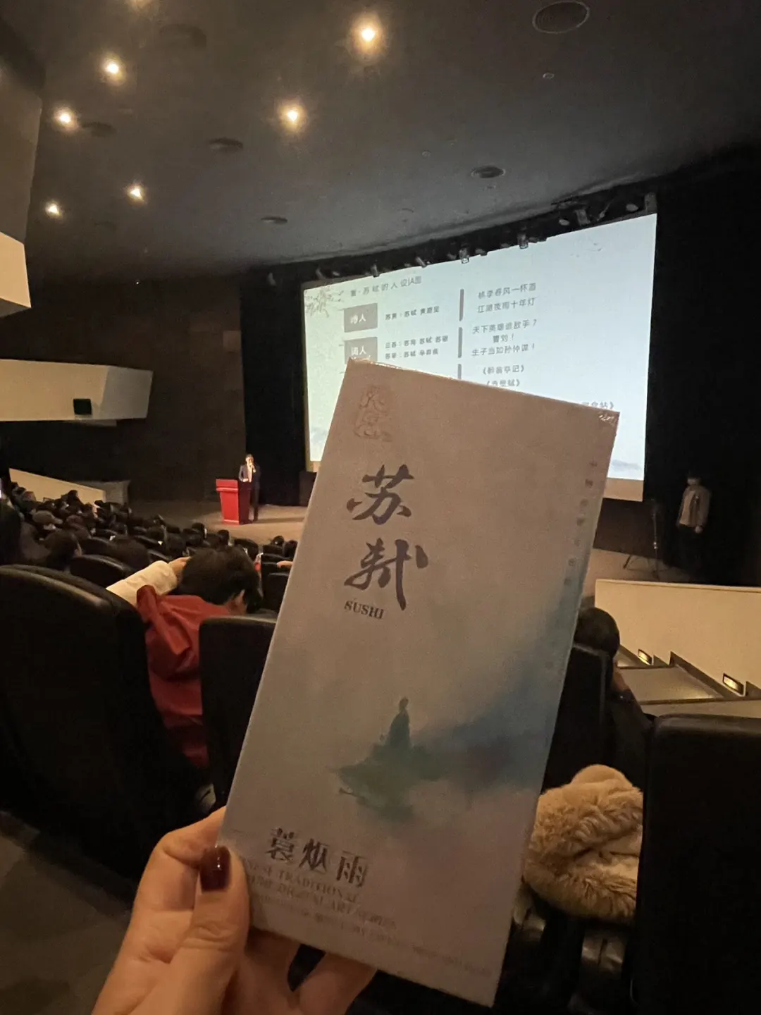 被苏轼展震撼了，真的超级治愈