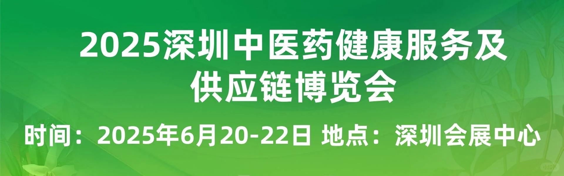 2025大湾区中医膏方展览会