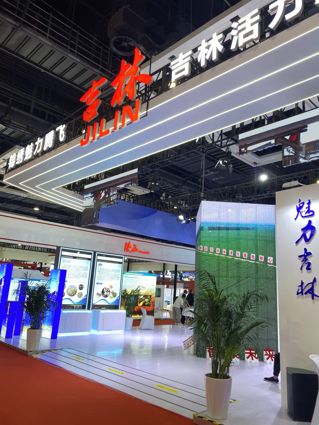K11博览会