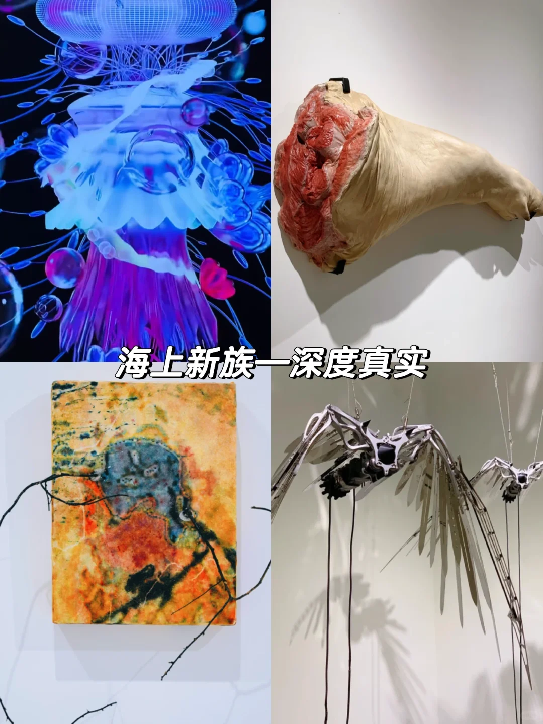 上海外滩?5月免费展览｜好看的展都是?的