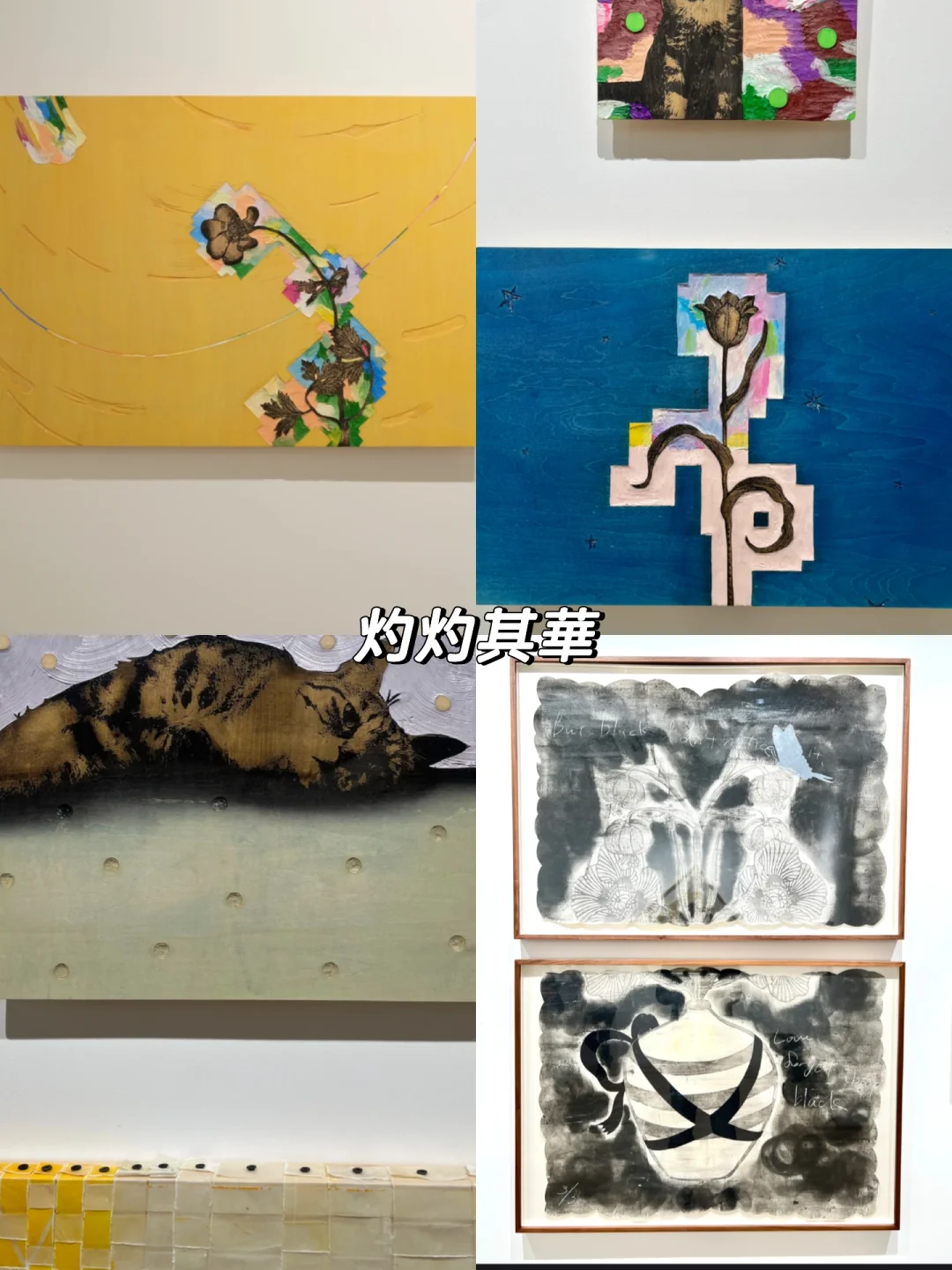 上海外滩?5月免费展览｜好看的展都是?的
