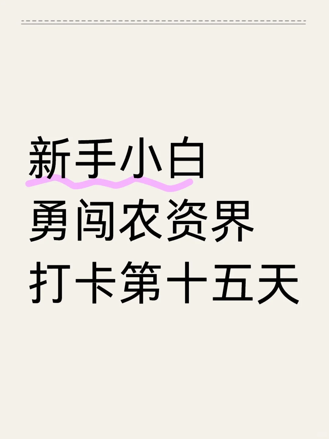 勇闯农资界