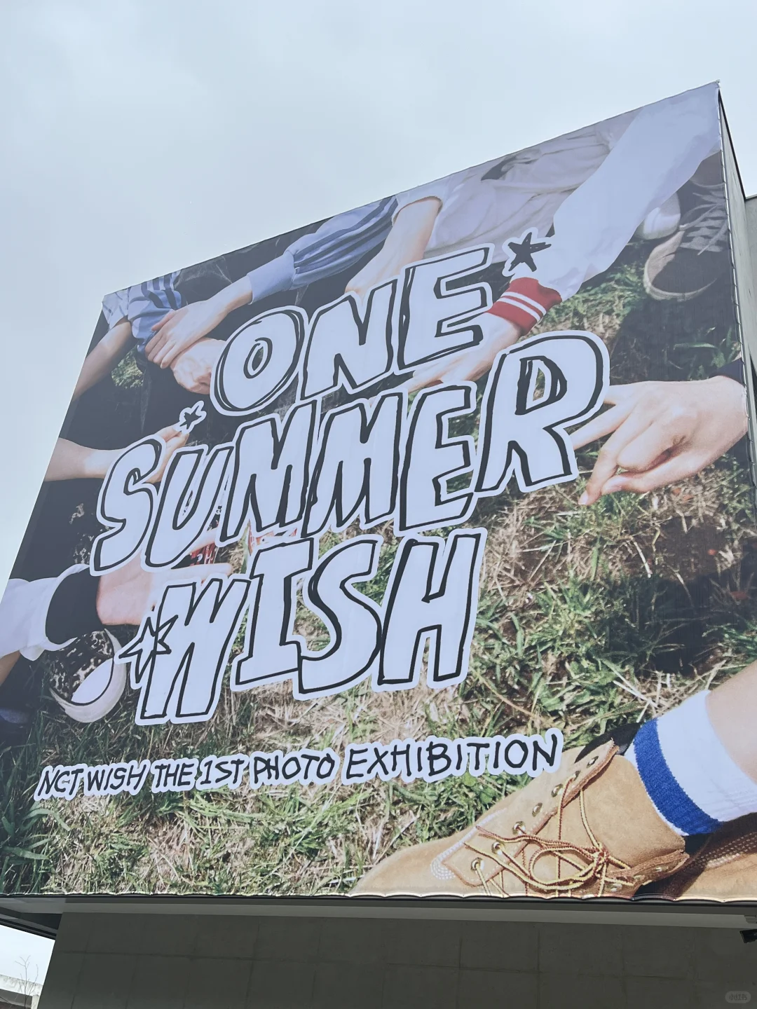 Wish摄影展会指南来袭～
