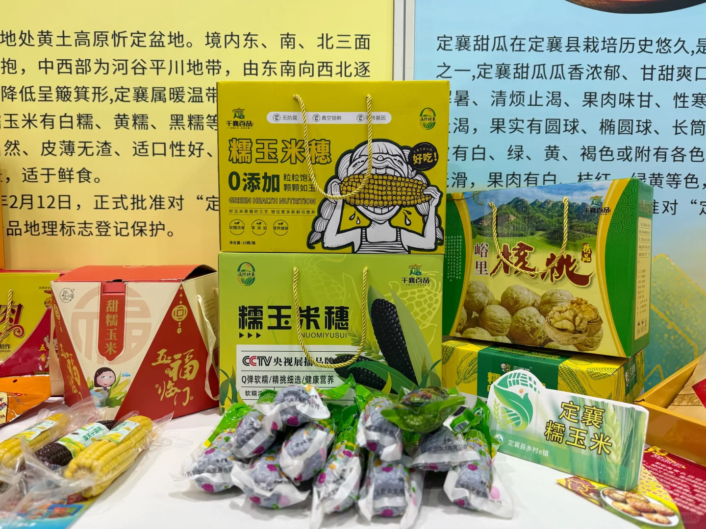 定襄县乡村e镇赴第二届杭州食品电商博览会