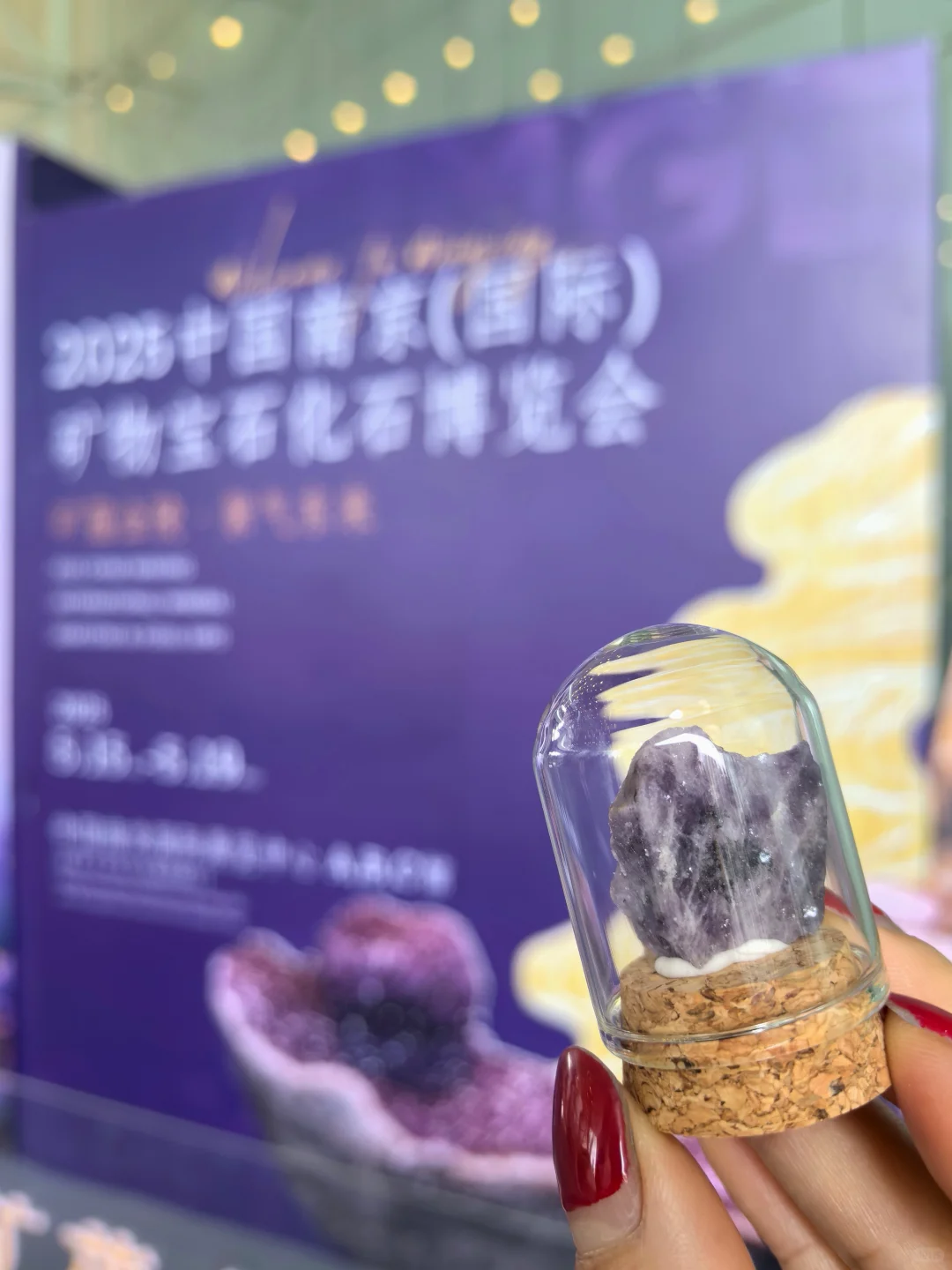 矿石博览会