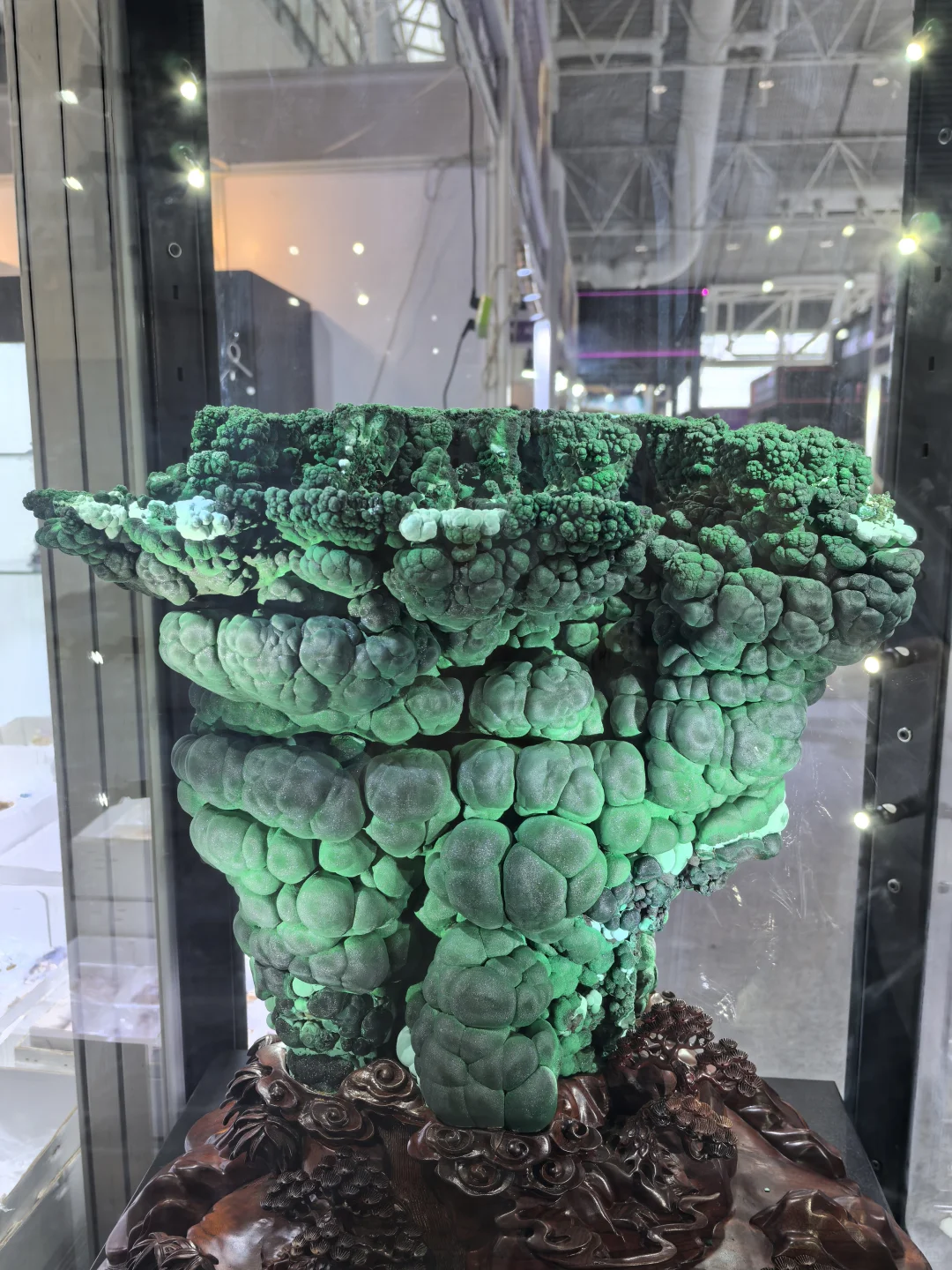 矿石博览会