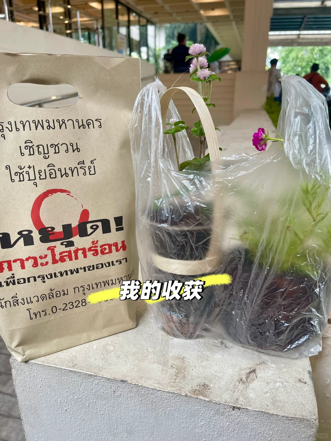 ??五月曼谷最Local的博览会还有两天
