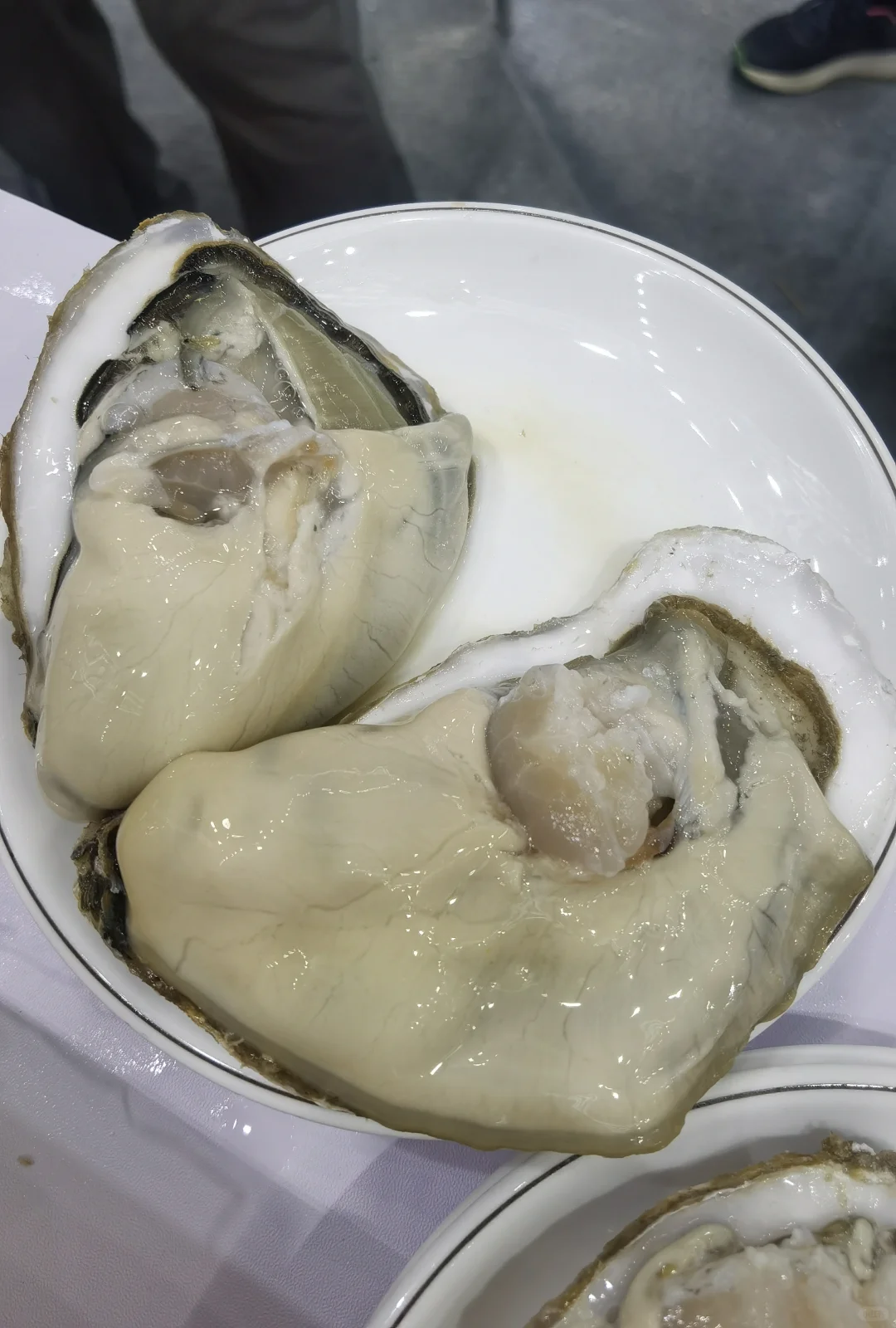 深圳渔博会