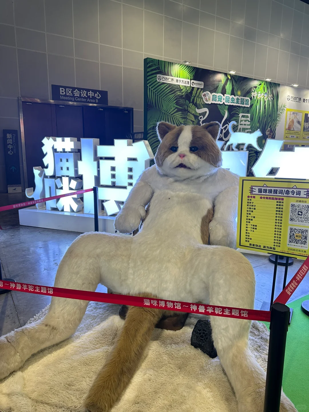 南宁宠物展一定要早点去❗️
