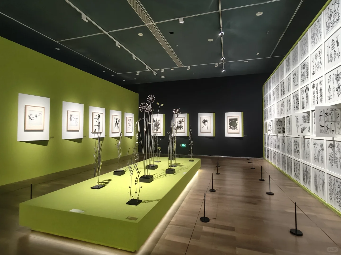 韩美林艺术展—美的森林