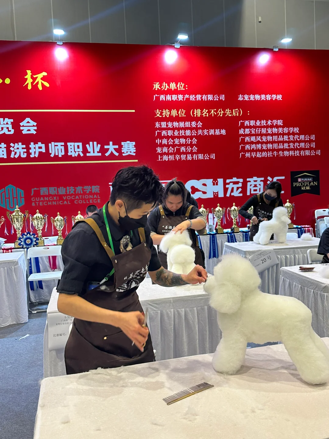 南宁宠物展一定要早点去❗️