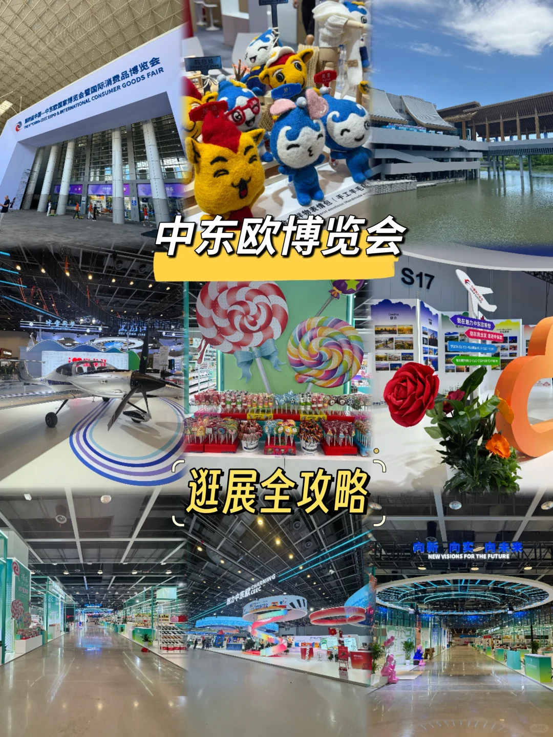 限时4天！中东欧博览会逛展全攻略（live）