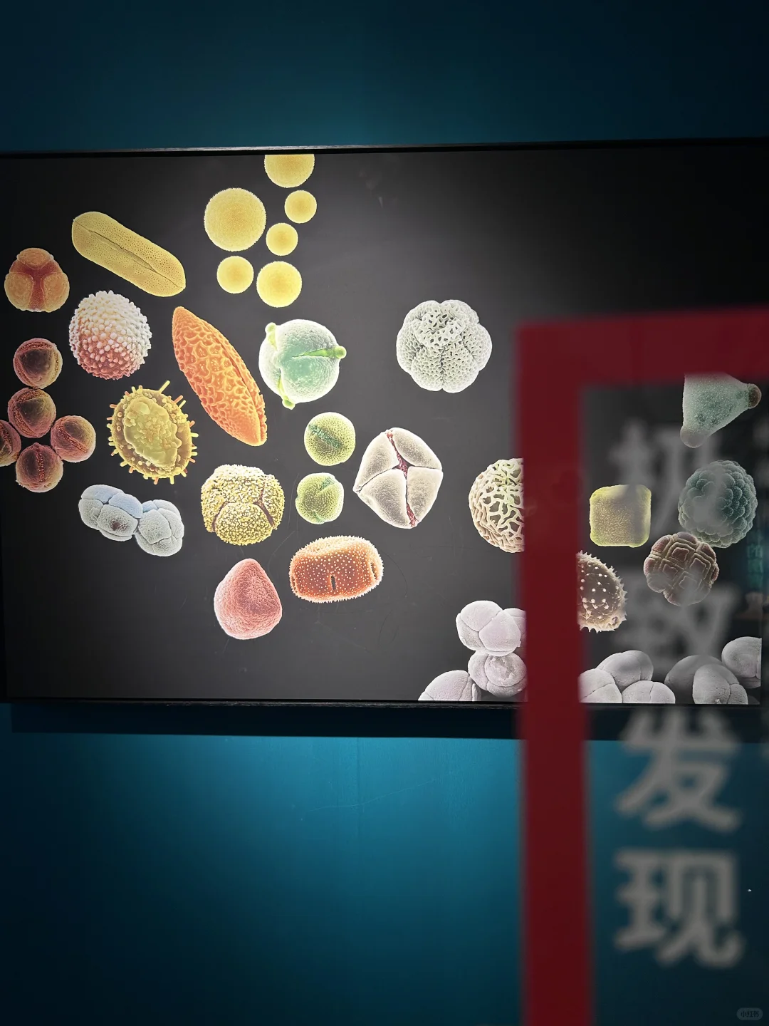 北京看展