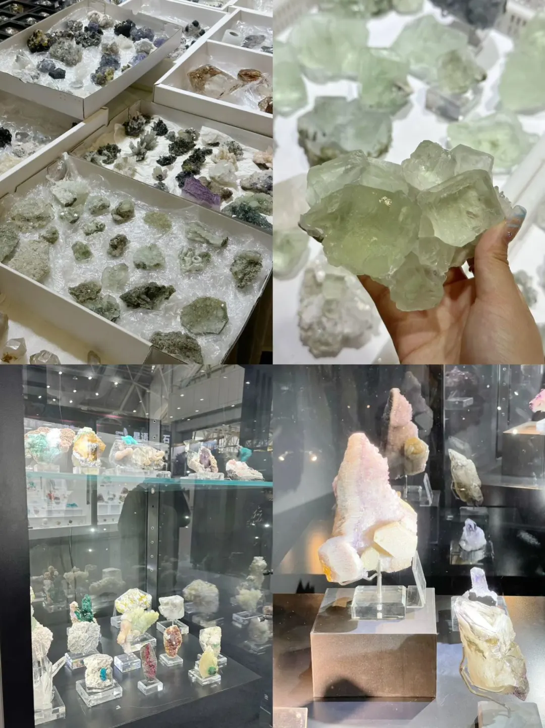 摸到46亿岁的星星！本挖矿女孩疯狂心动！！