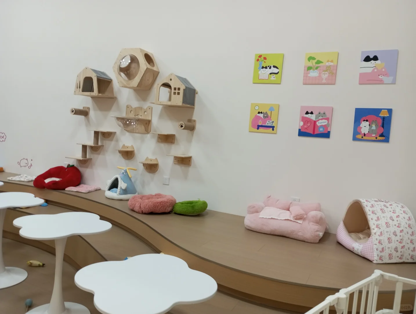 南宁会展动漫城趴一会猫咖打卡
