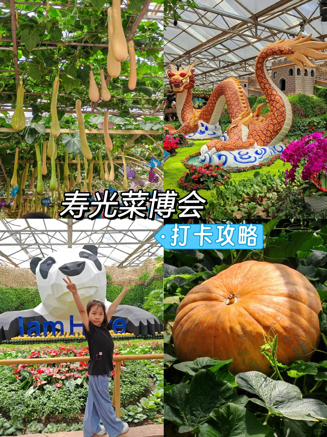 寿光菜博会玩法指南｜附避坑攻略