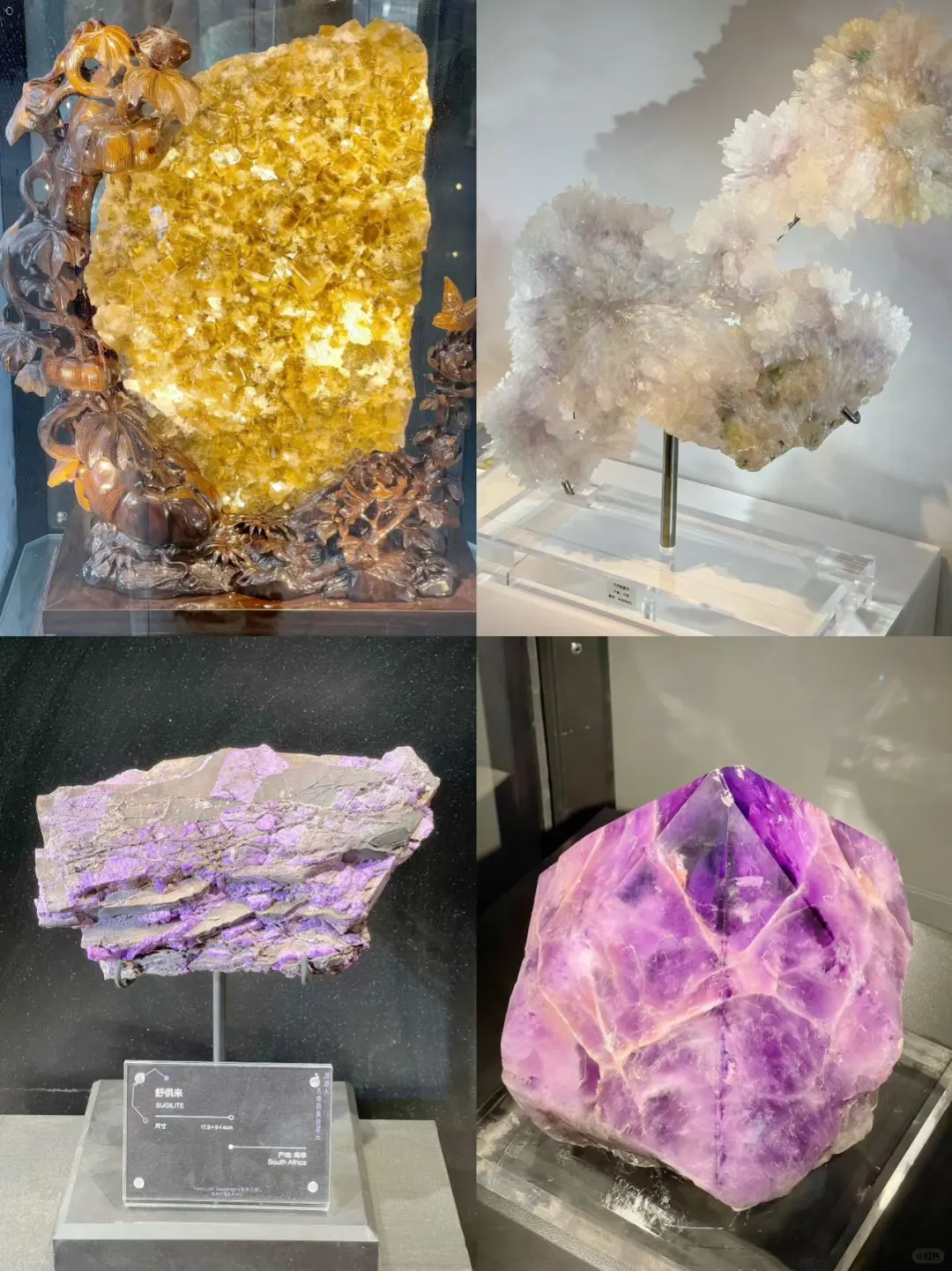 摸到46亿岁的星星！本挖矿女孩疯狂心动！！