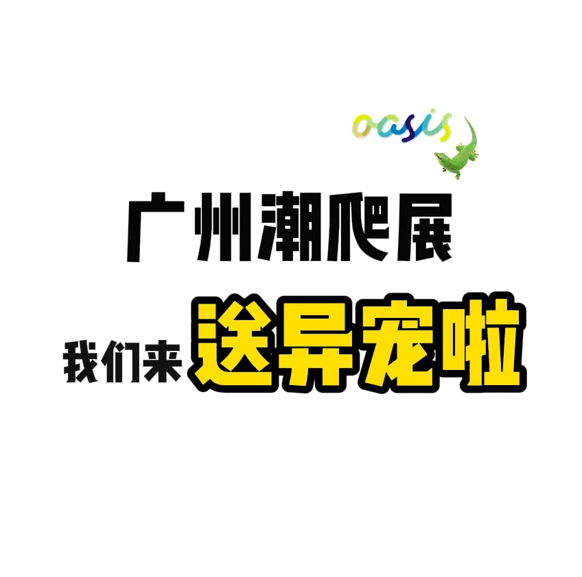 想要异宠的宝子们速来！！！