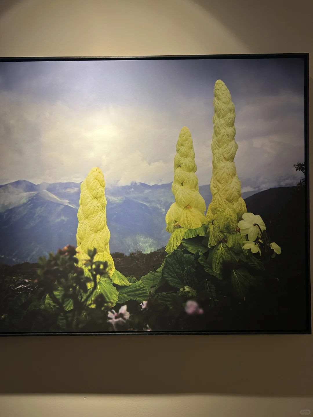 北京看展