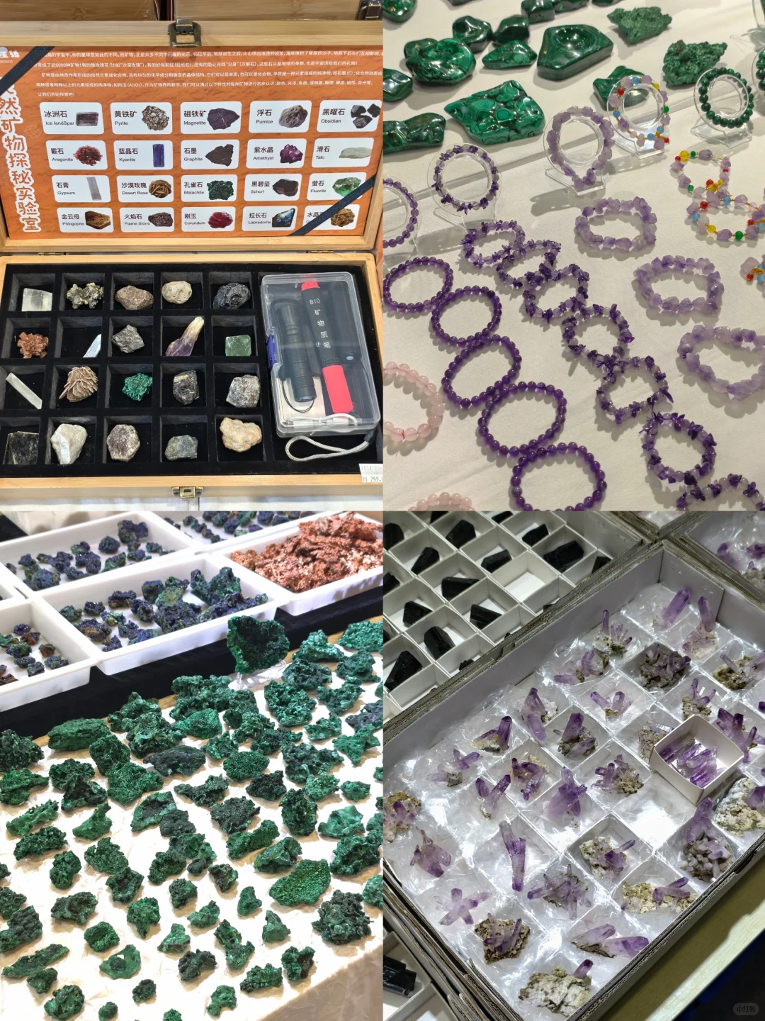 南京5️⃣?️新展！错过等一年！！！