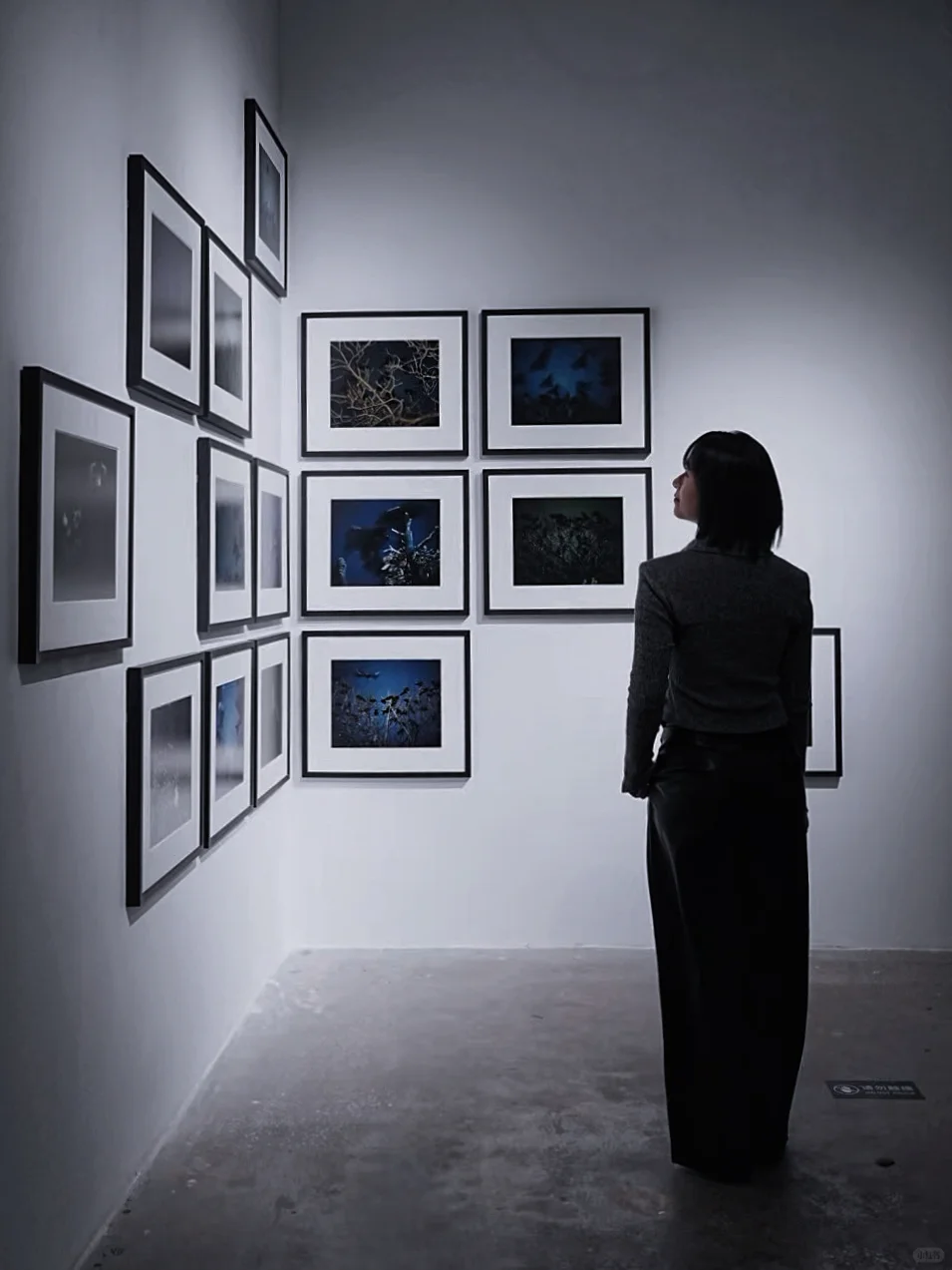 心心念念的看展约上了！拍上瘾了！