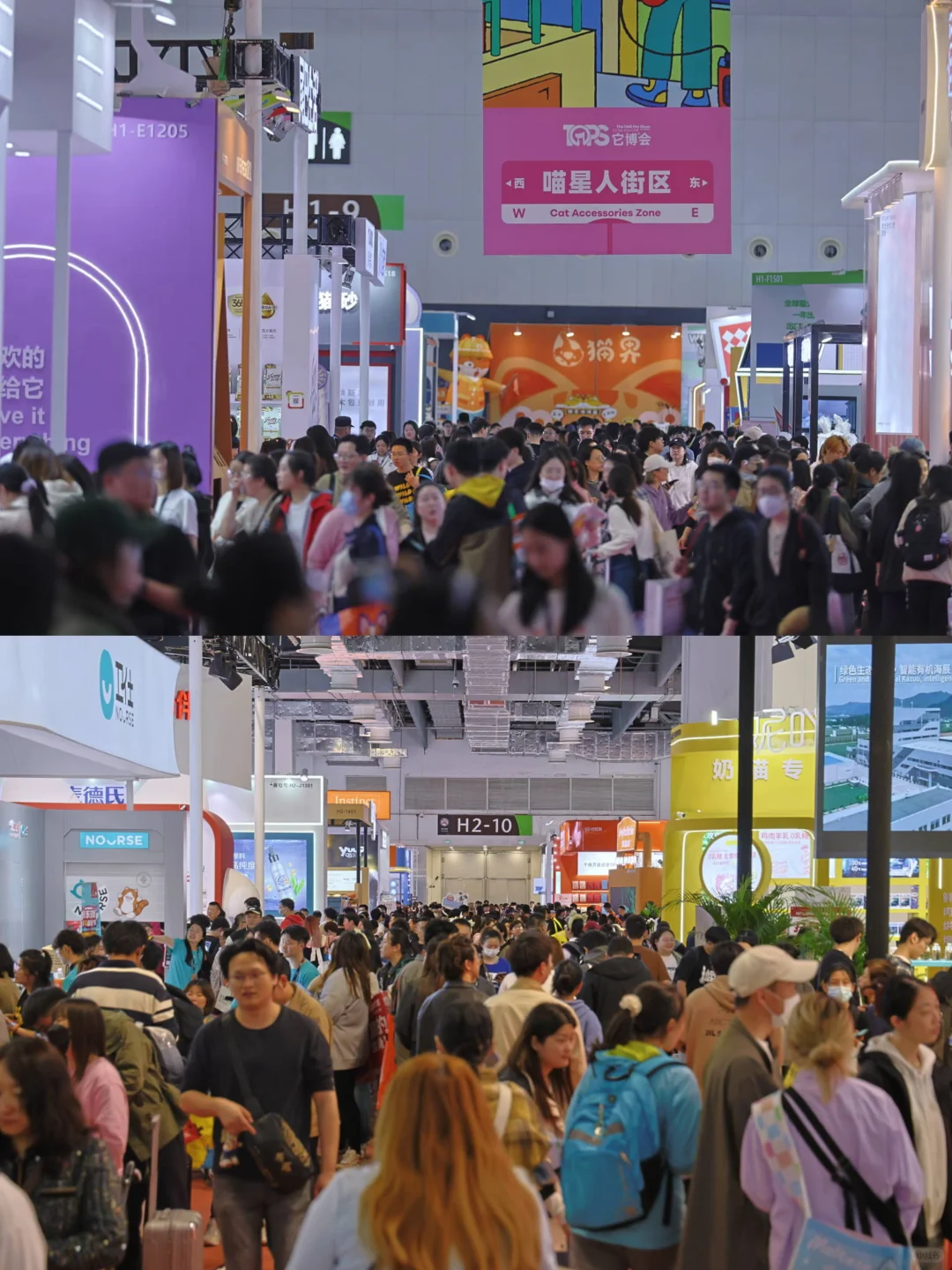 它博会宠物展周末闪现国家会展中心！ ?