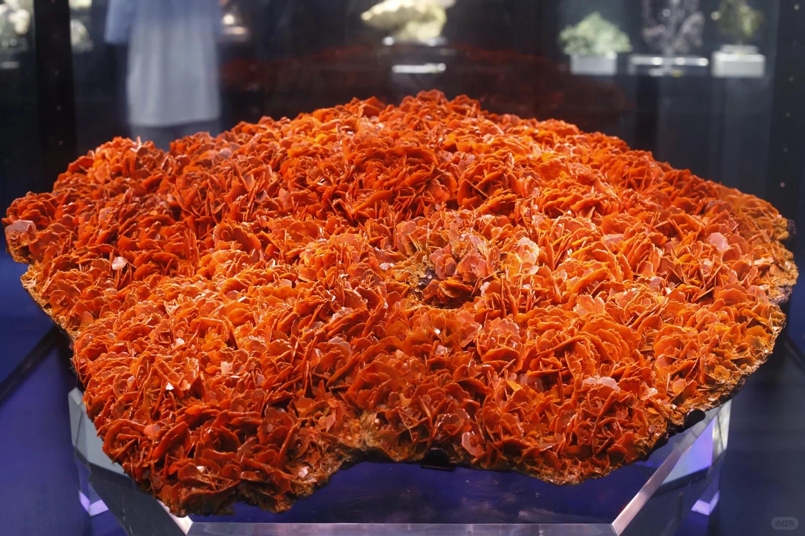 大伙想要的郴州矿展逛展全方位指南在这！！