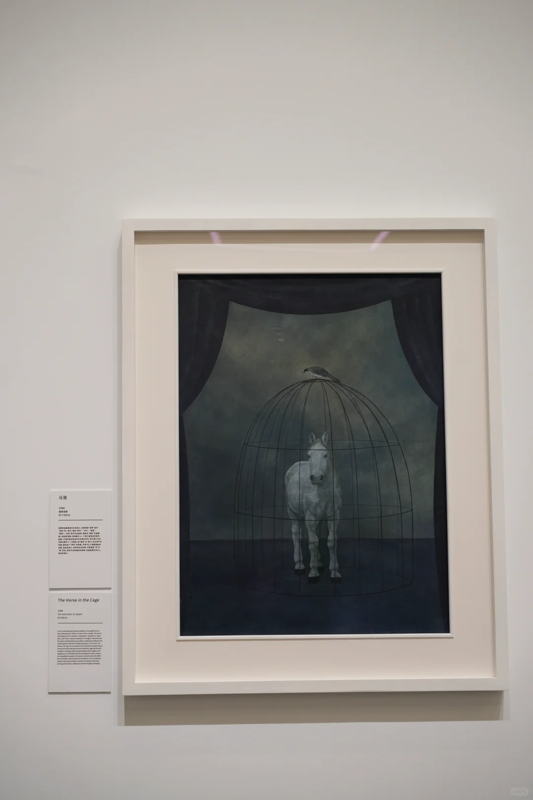 ?深圳看展天花板！4大展会不可错过?‍♀️