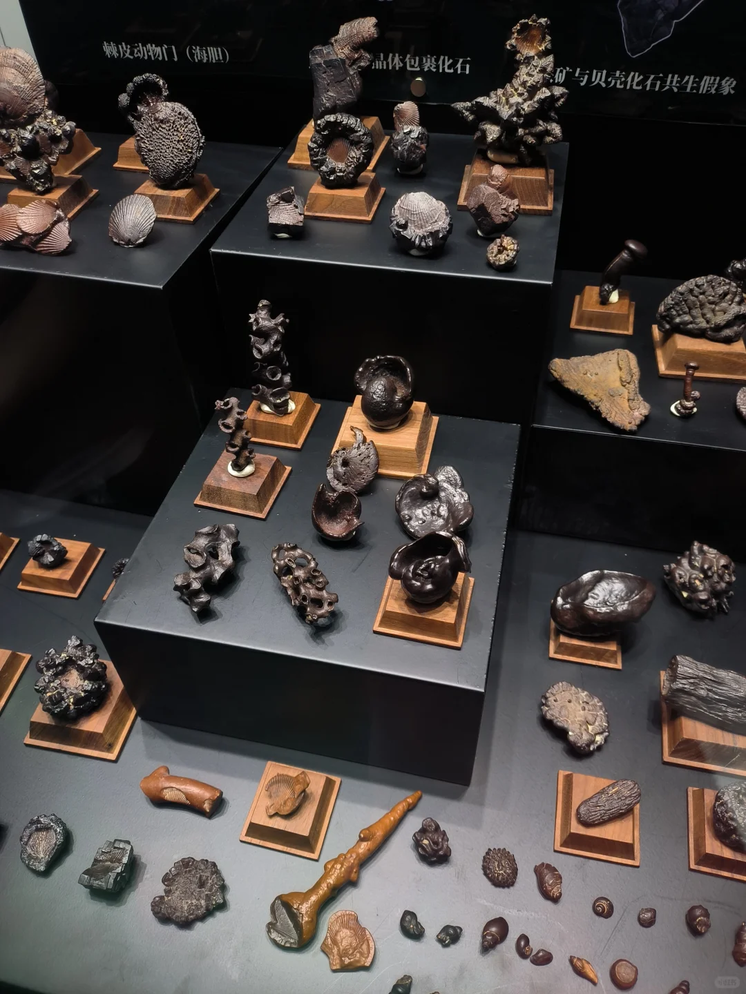 大伙想要的郴州矿展逛展全方位指南在这！！