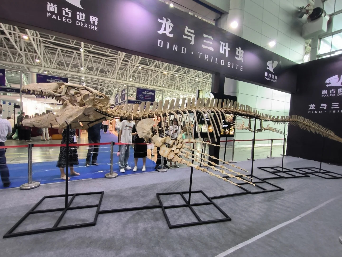 大伙想要的郴州矿展逛展全方位指南在这！！