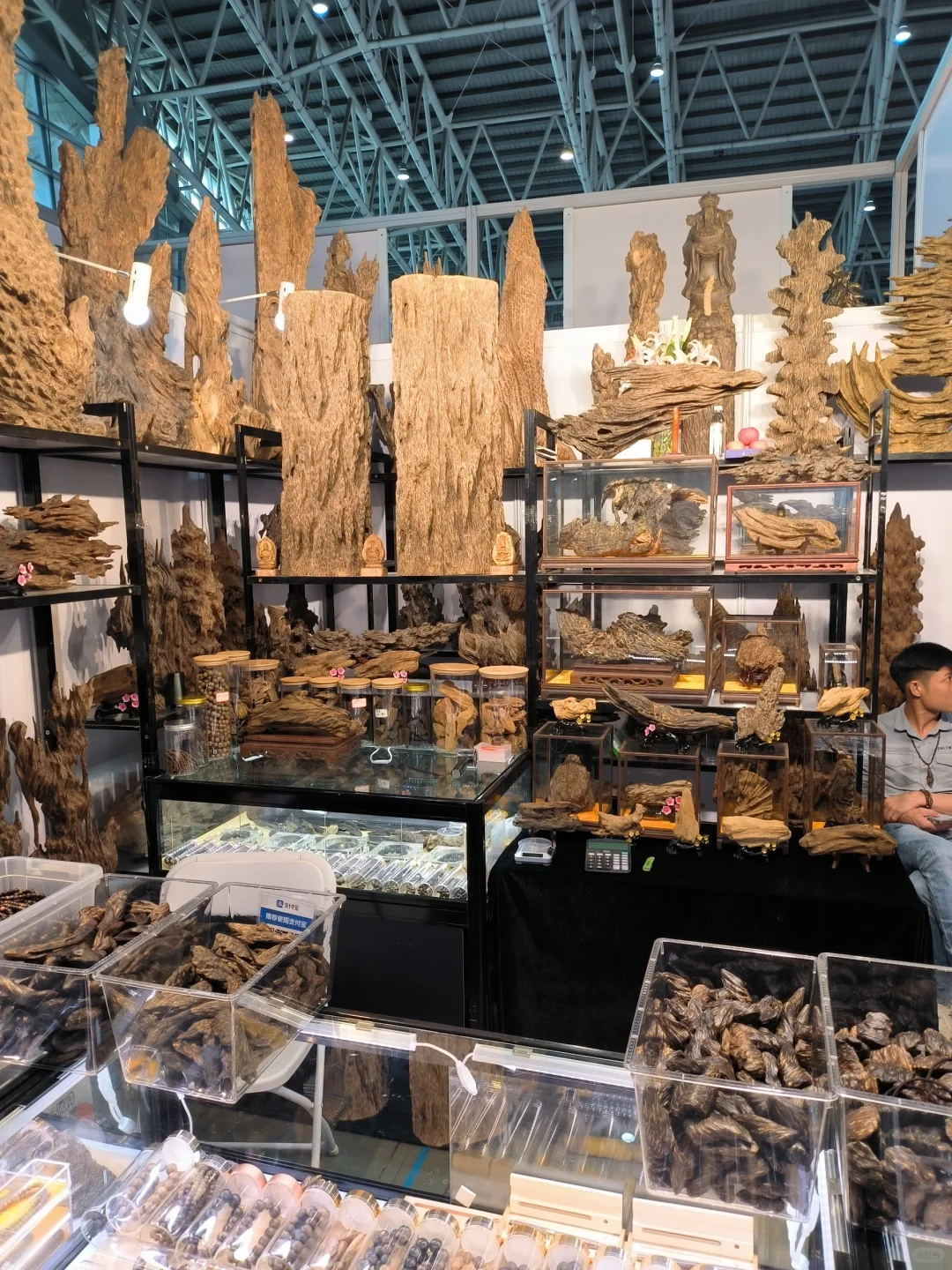 大伙想要的郴州矿展逛展全方位指南在这！！