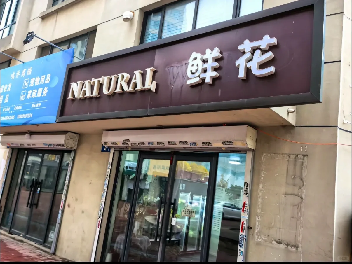 避雷苏家屯会展natural 自然界鲜花!!!!!