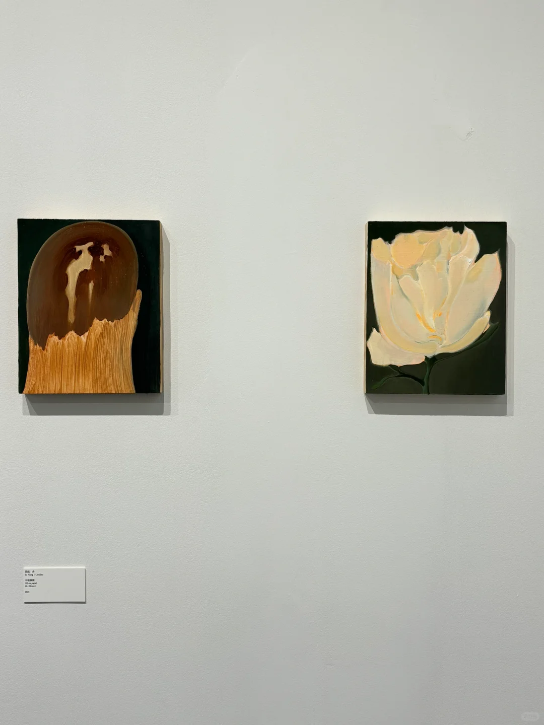 看展日｜北京当代艺术博览会上的美丽瞬间