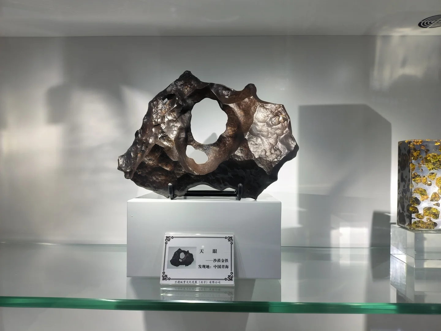 大伙想要的郴州矿展逛展全方位指南在这！！