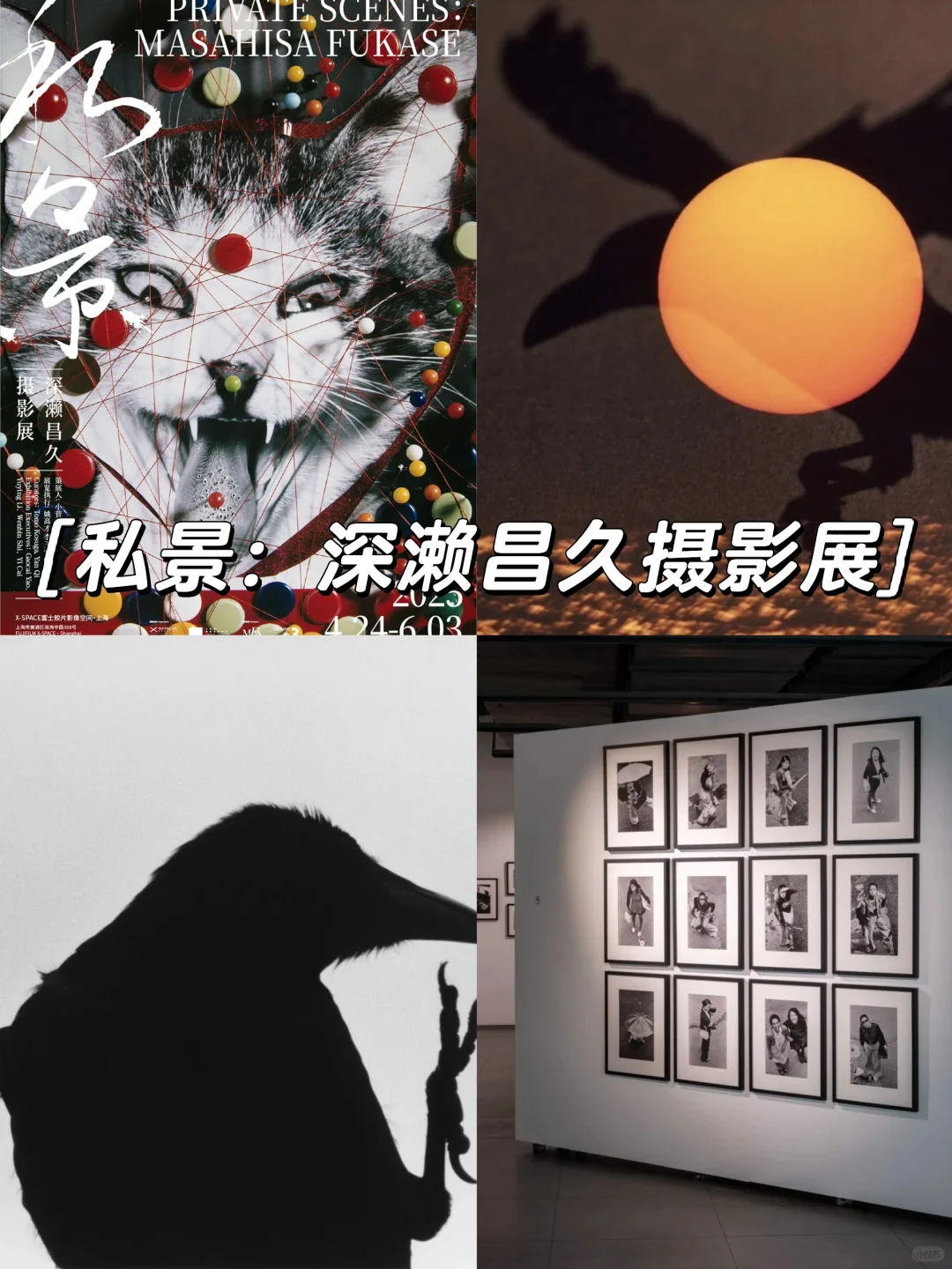上海5-6月值得看的18+免费?展览合集‼️
