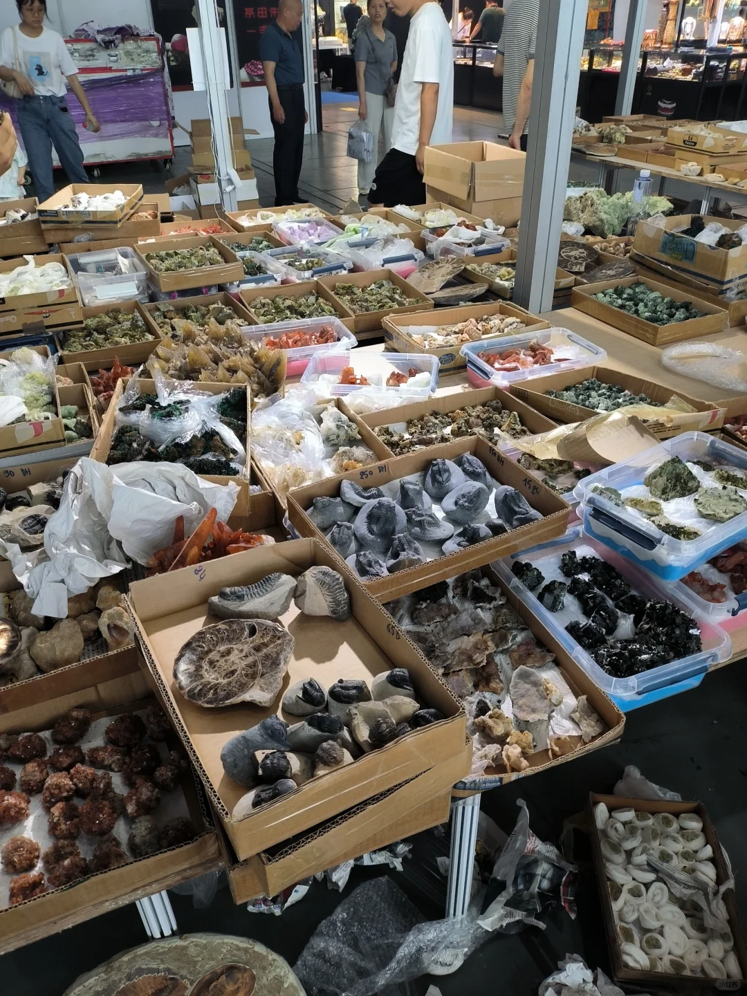 大伙想要的郴州矿展逛展全方位指南在这！！