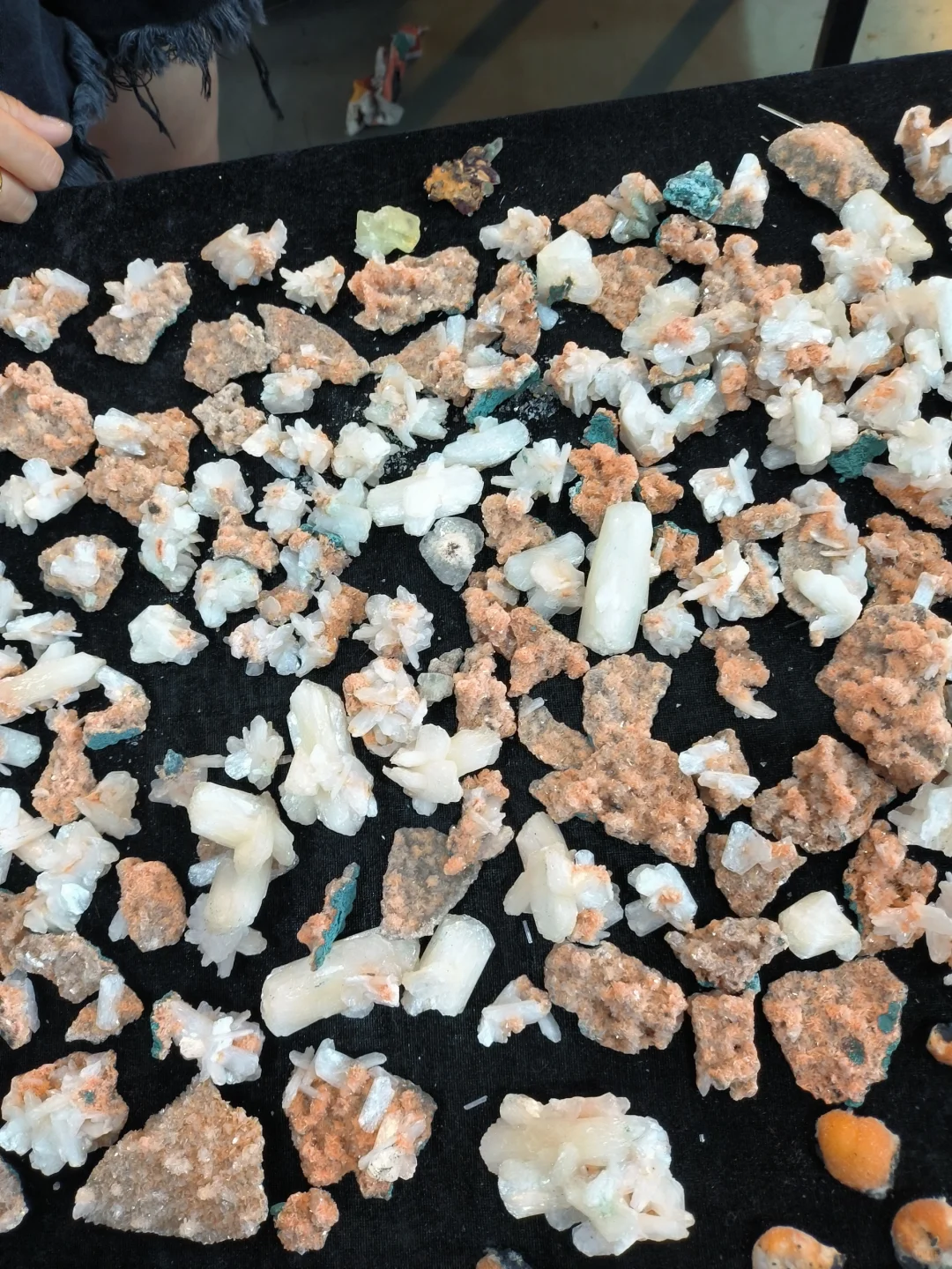 大伙想要的郴州矿展逛展全方位指南在这！！