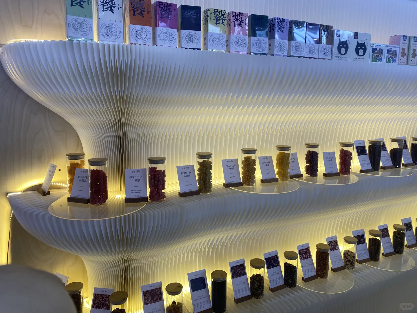 第一天就已经快要阵亡