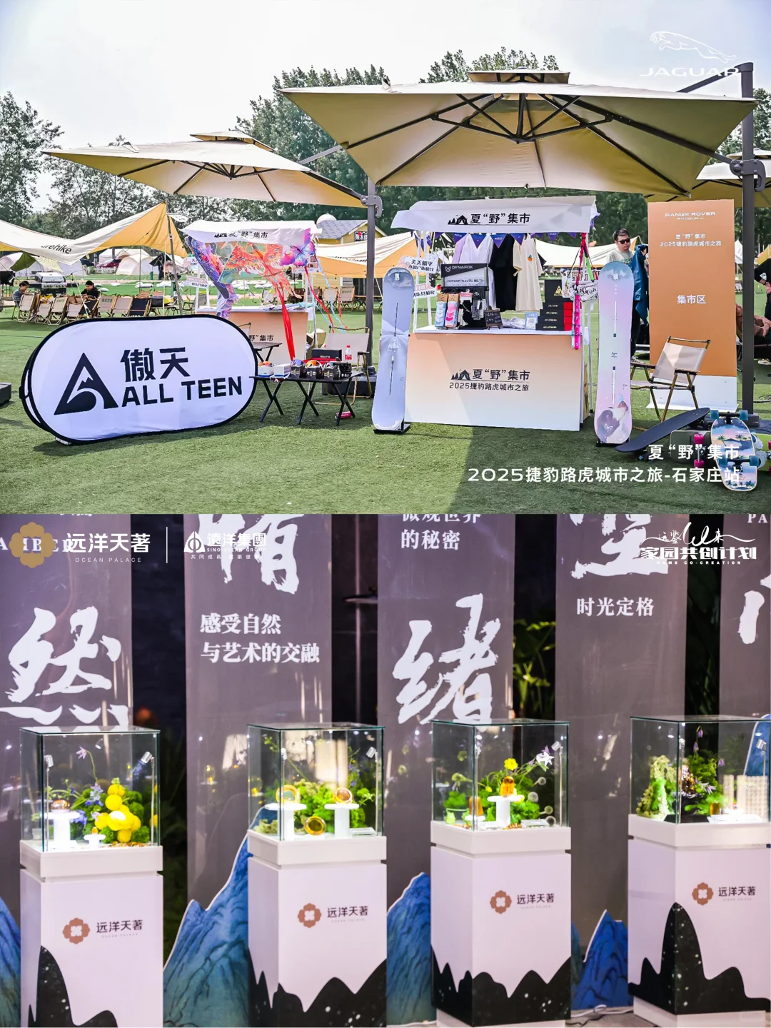 石家庄策划执行 河北星谊会展服务有限公司