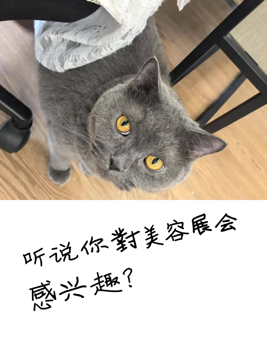 全球美容展会